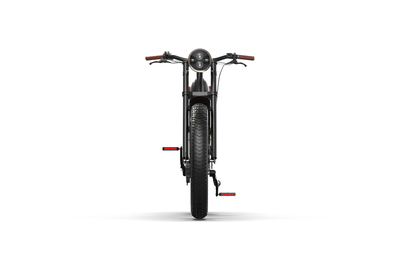 Rock & Roll Custom Electric Bike with Roaring Lion Design